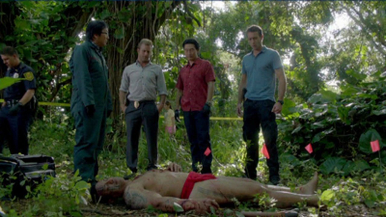 Image Hawai 5.0 (Hawaii Five-0)