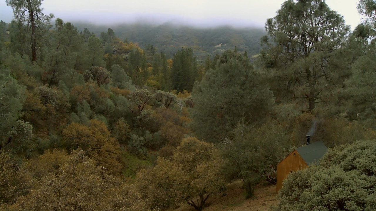 movie backdrop