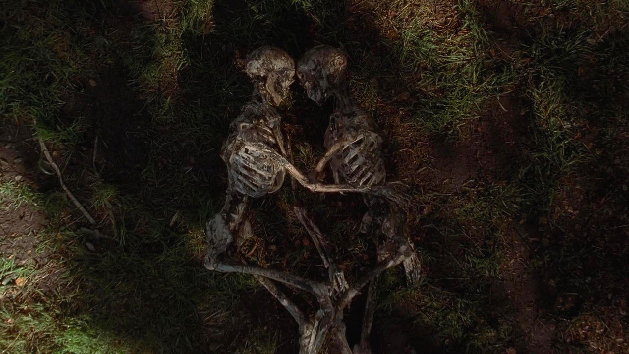 The X-Files - Season 11 Episode 1 : My Struggle III