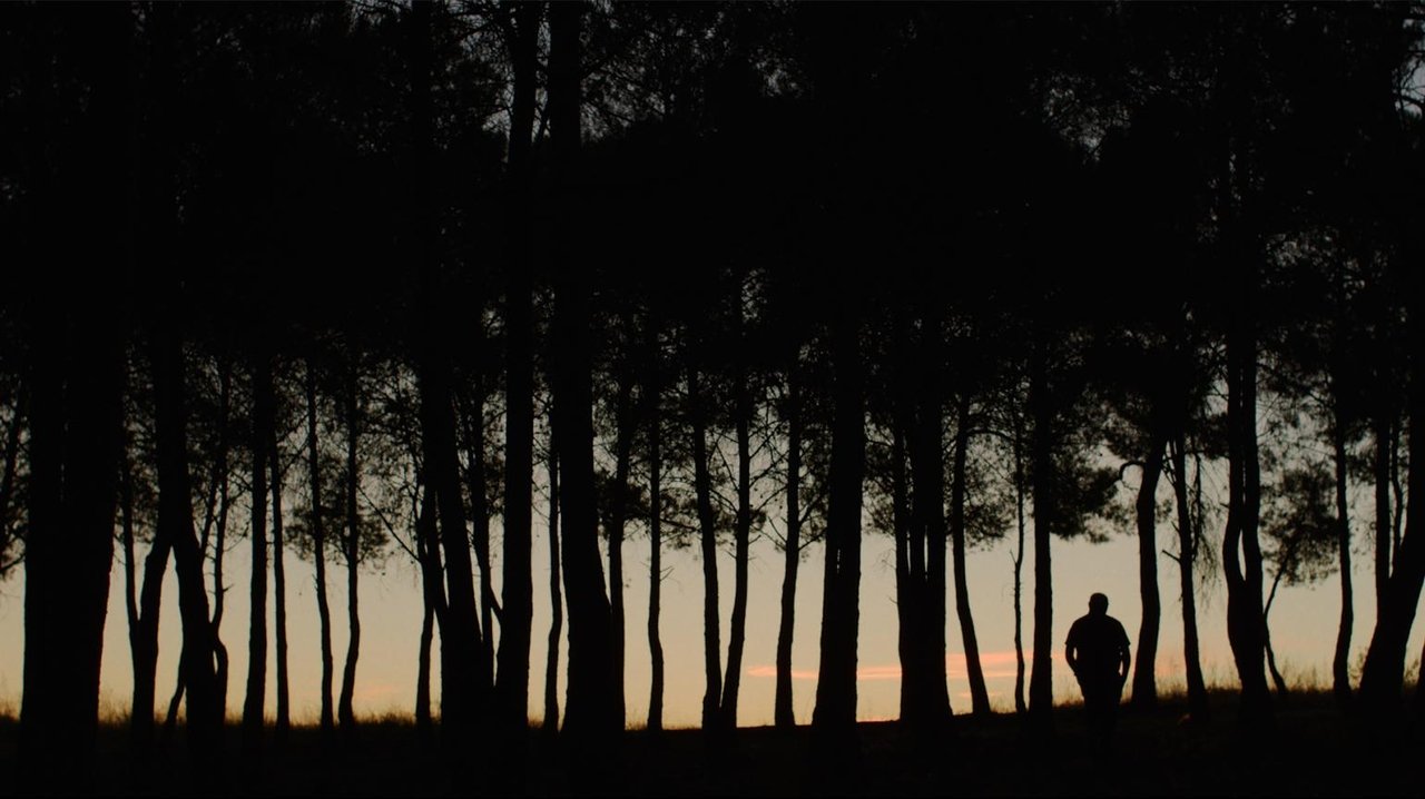 movie backdrop