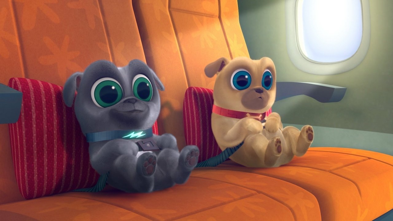 Puppy Dog Pals Season 1 Episode 17 : Don't Rain On My Pug-rade