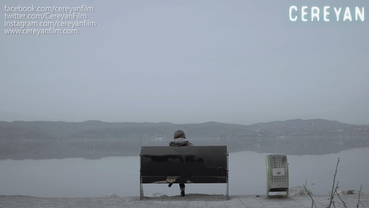 movie backdrop