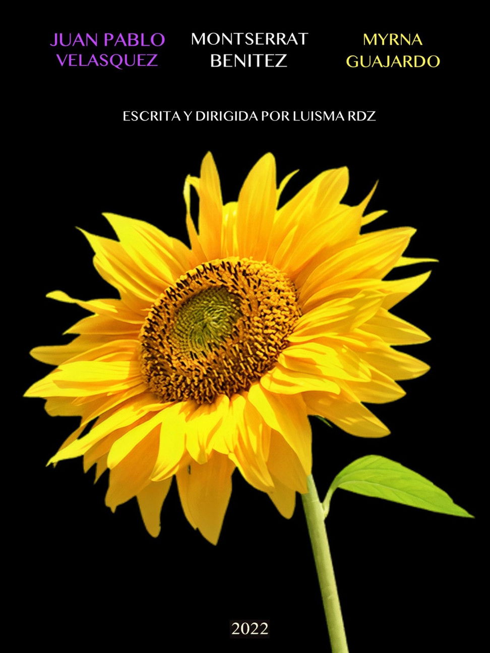 De la Noche a la MaÃ±ana