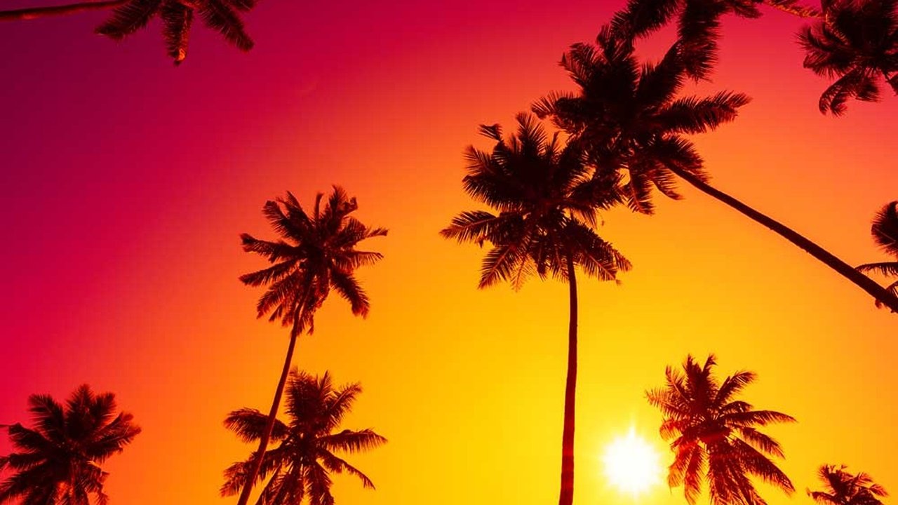 Miami Vice - Season 5 Episode 12 : Jack of All Trades