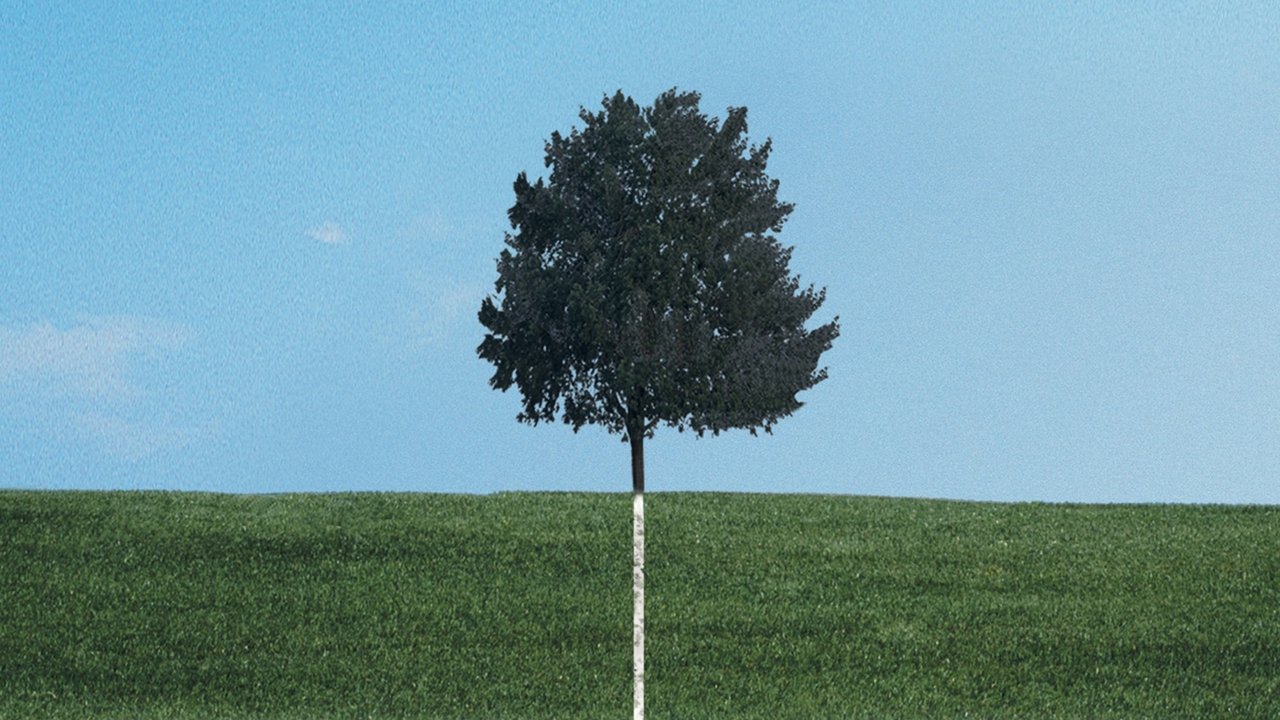 Six Feet Under - Season 3 Episode 7 : Timing & Space