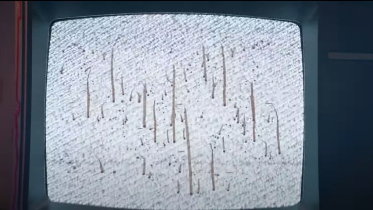 movie backdrop