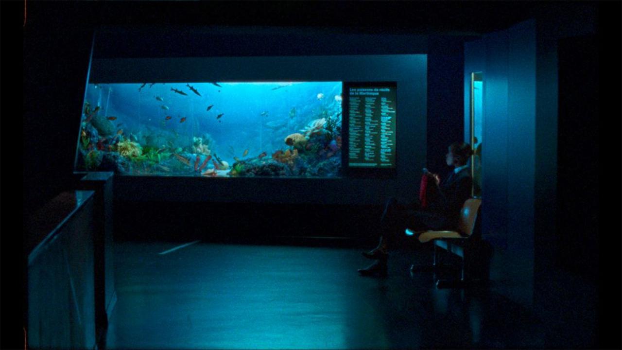 movie backdrop