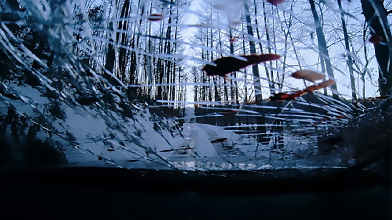 movie backdrop