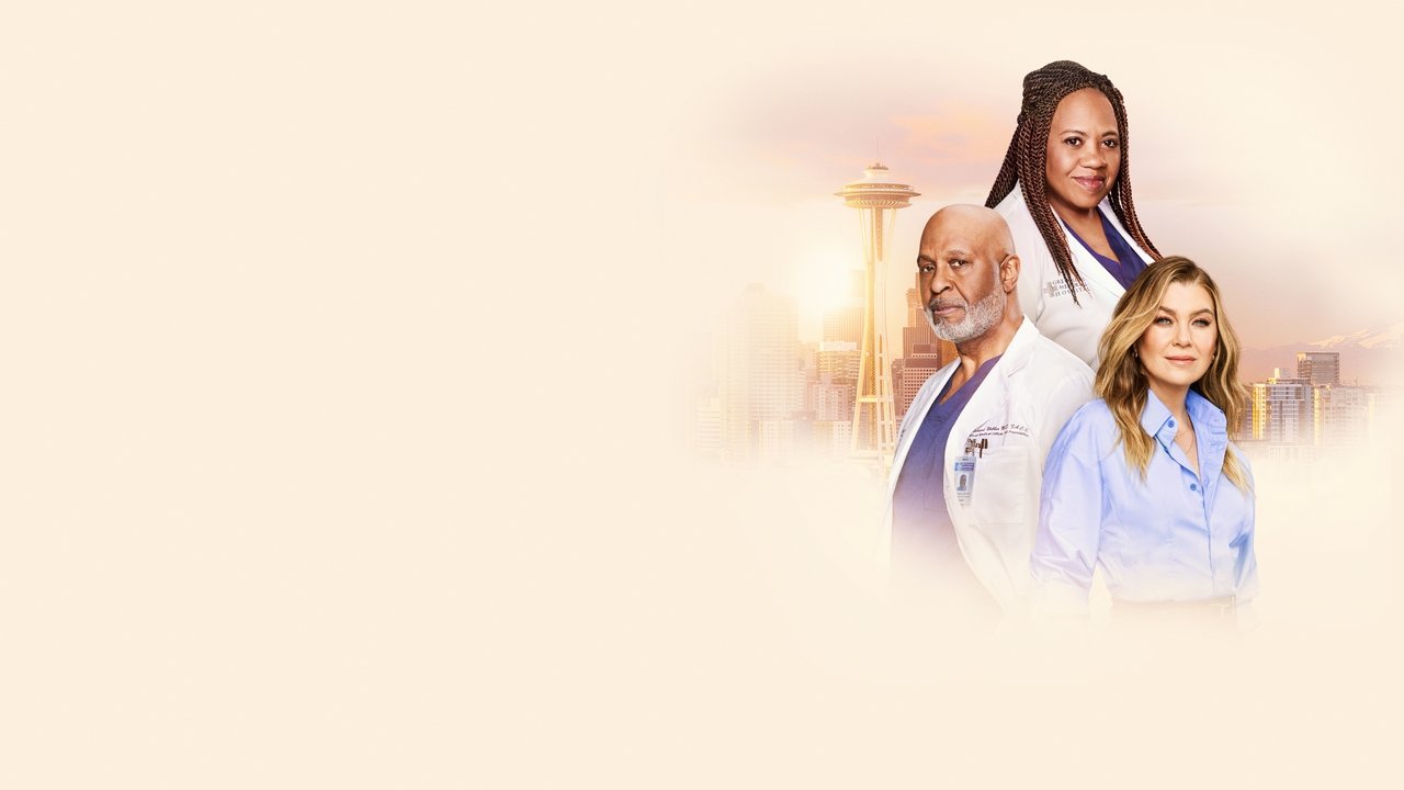 Grey's Anatomy - Season 6 Episode 7 : Give Peace a Chance