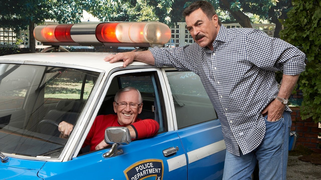 Blue Bloods Season 10 Episode 11 : Careful What You Wish For