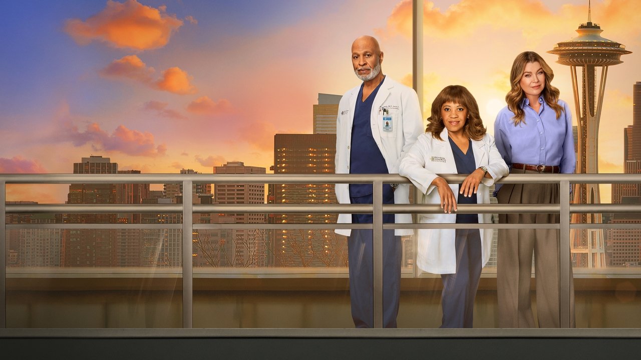 Grey's Anatomy - Season 3 Episode 19 : My Favorite Mistake