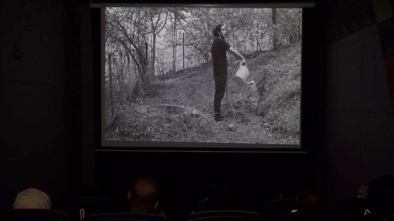 movie backdrop