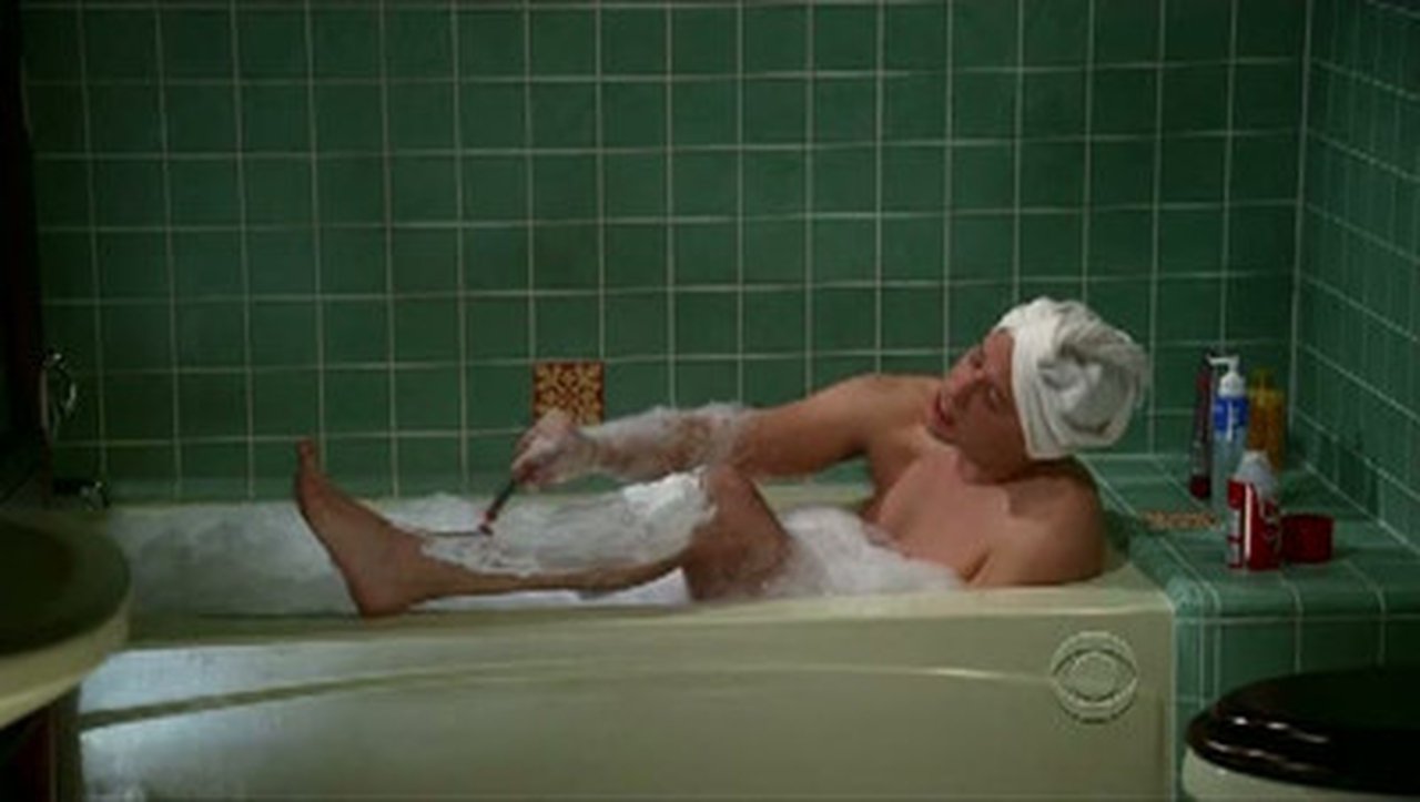 Image Two and a Half Men (Dos Hombres y Medio)