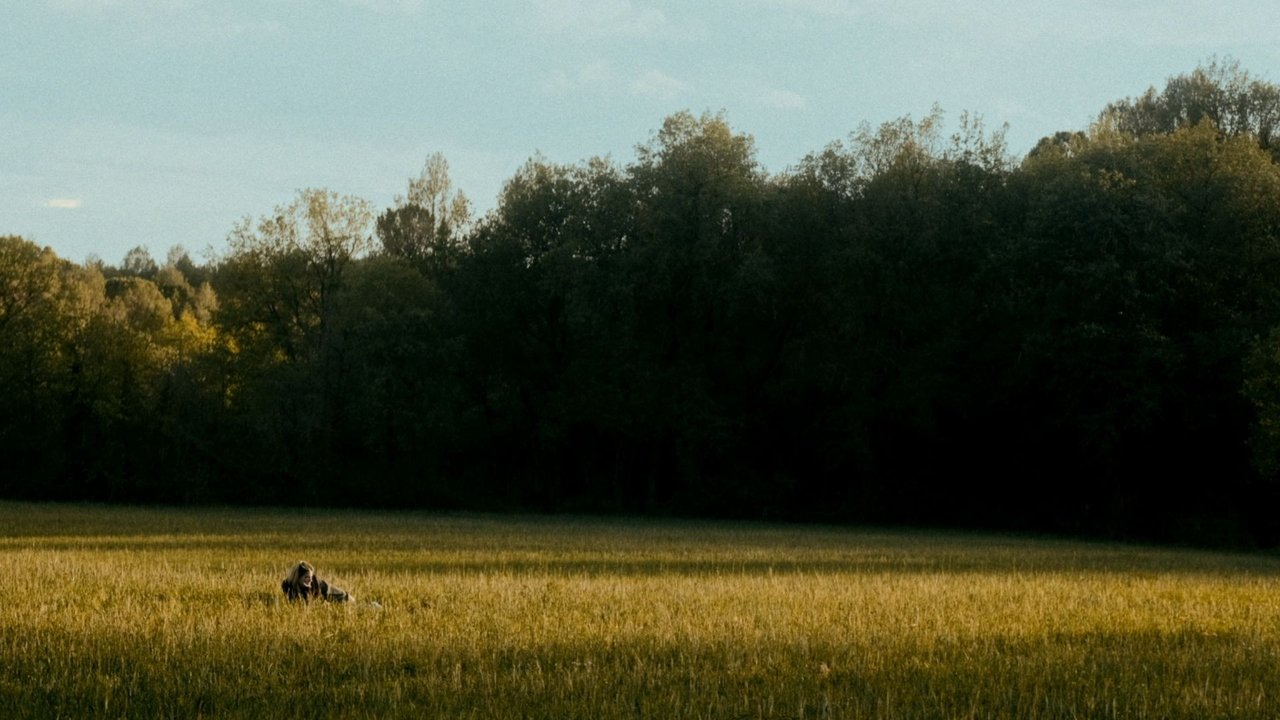 movie backdrop
