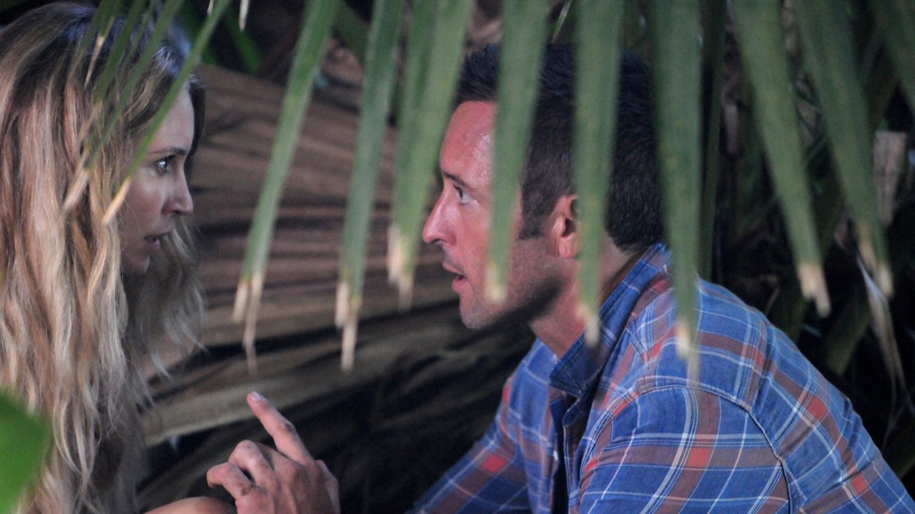 Image Hawai 5.0 (Hawaii Five-0)