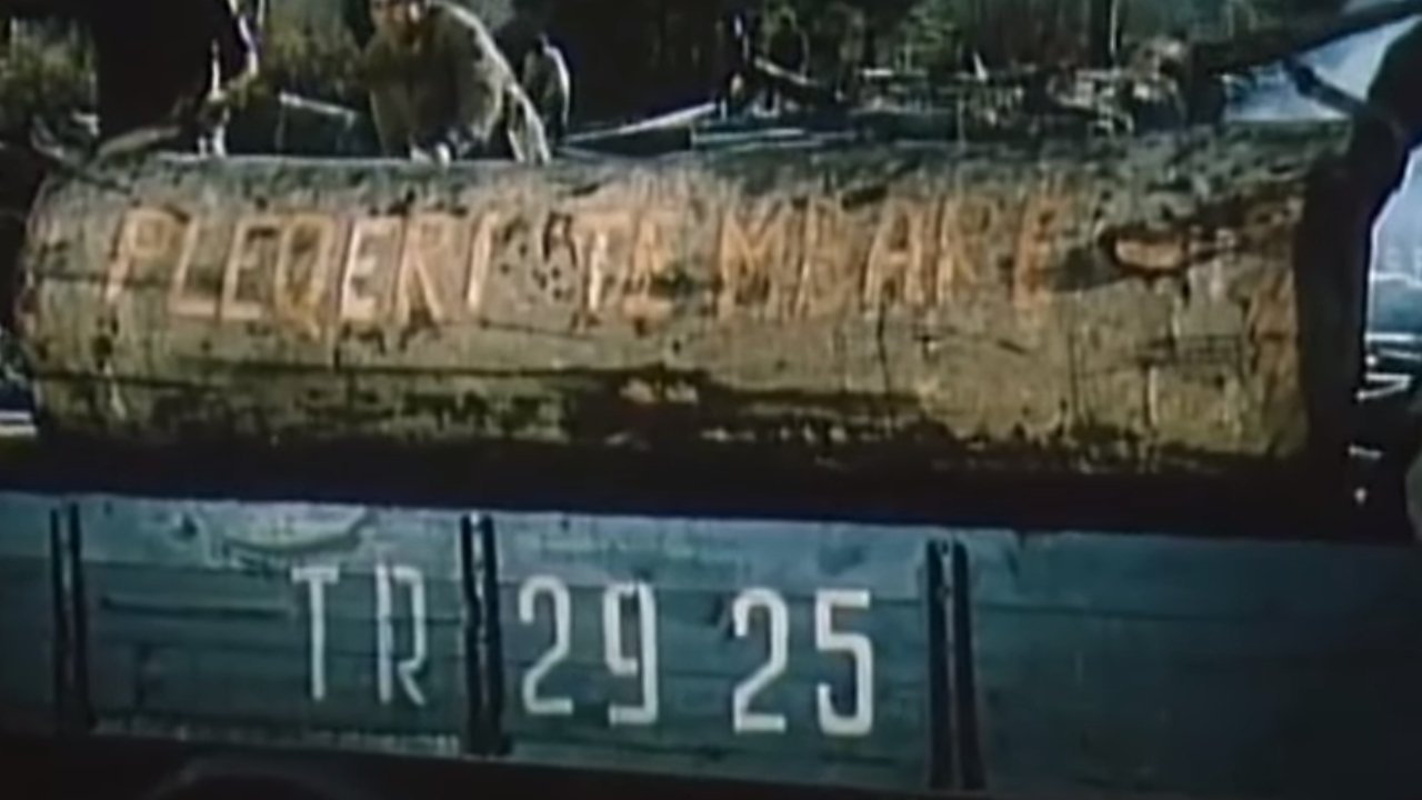 movie backdrop