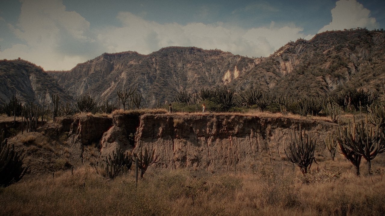 movie backdrop