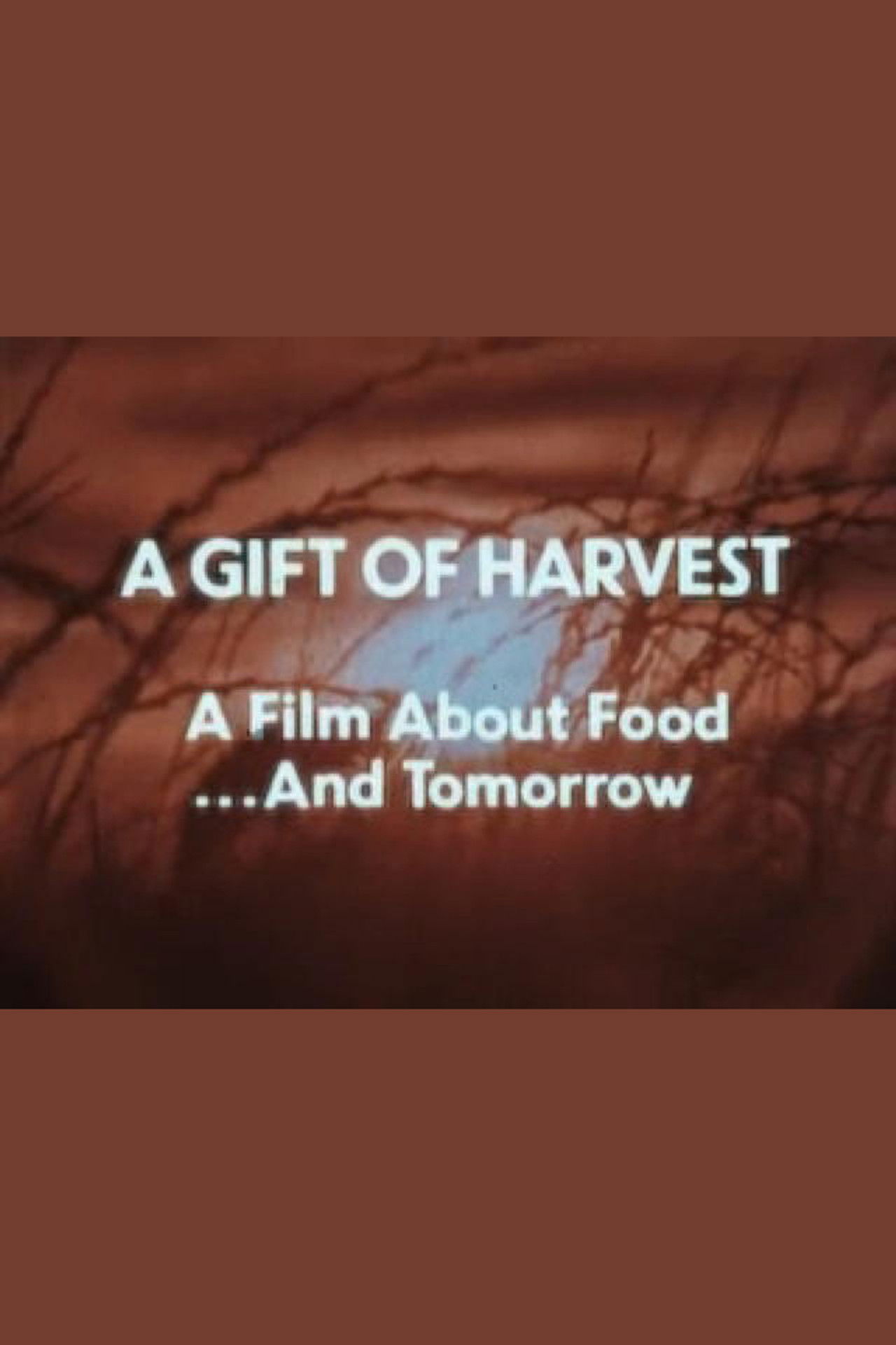 A Gift of Harvest