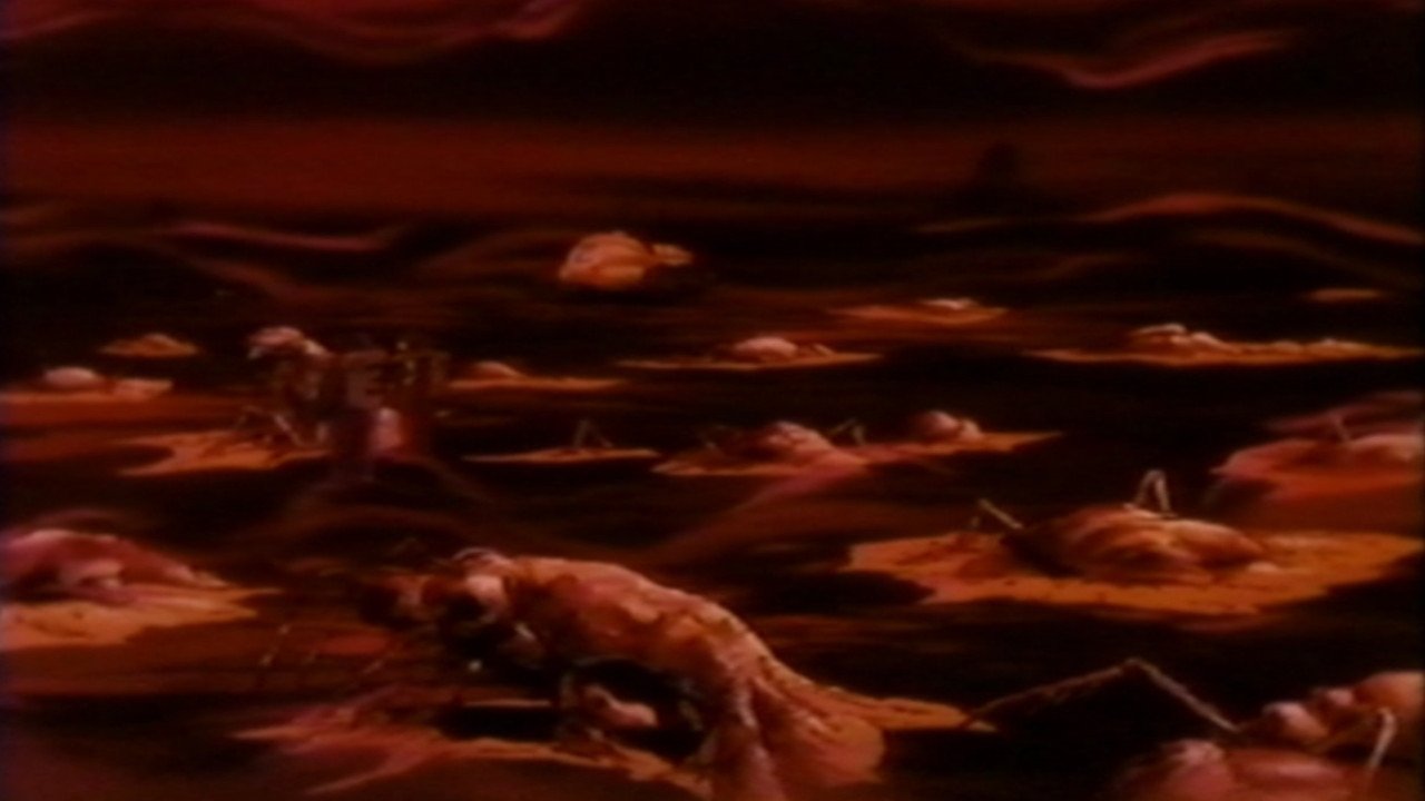 movie backdrop