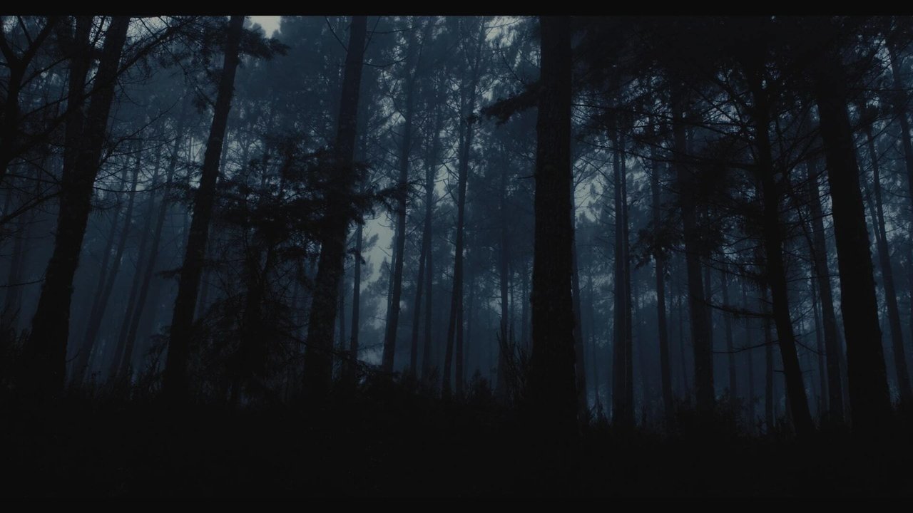 movie backdrop