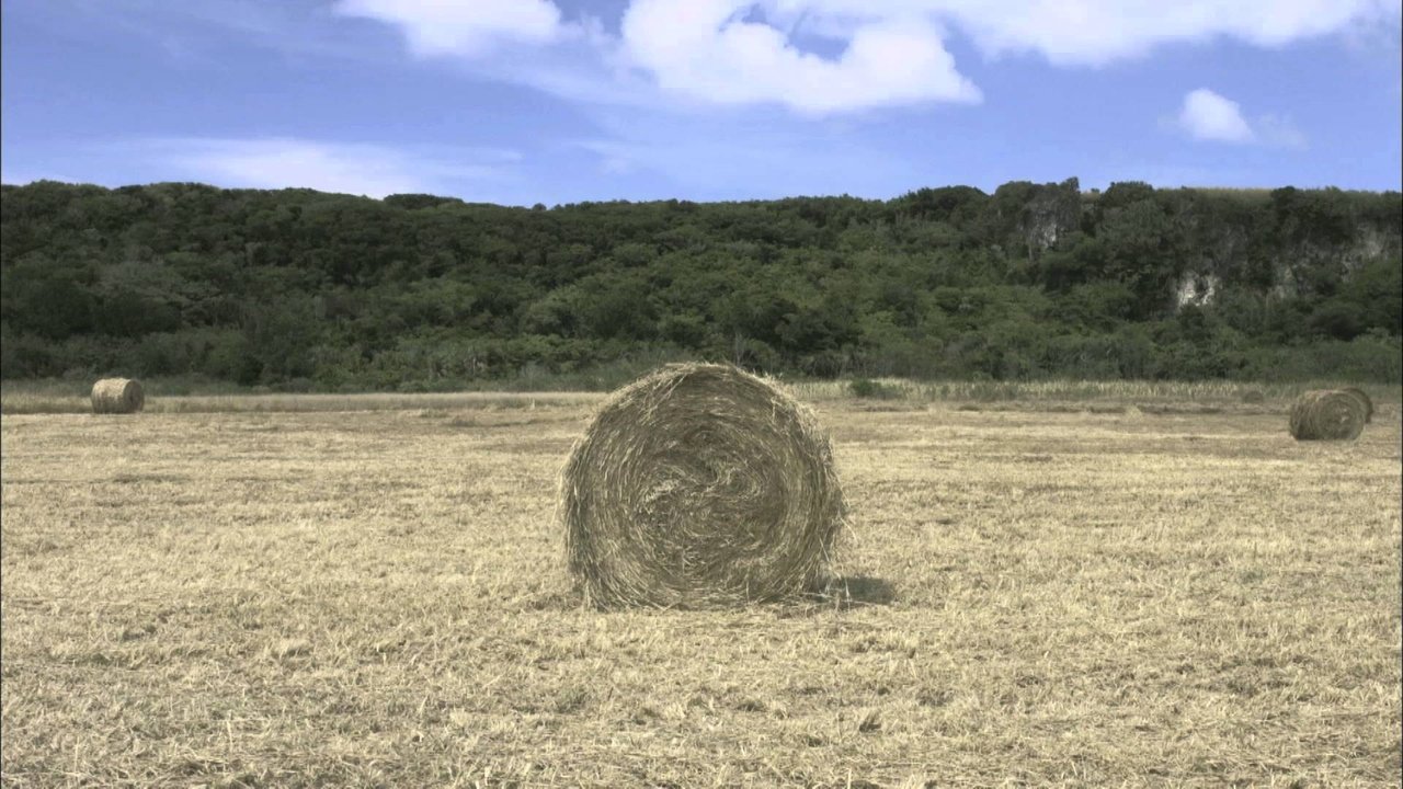 movie backdrop