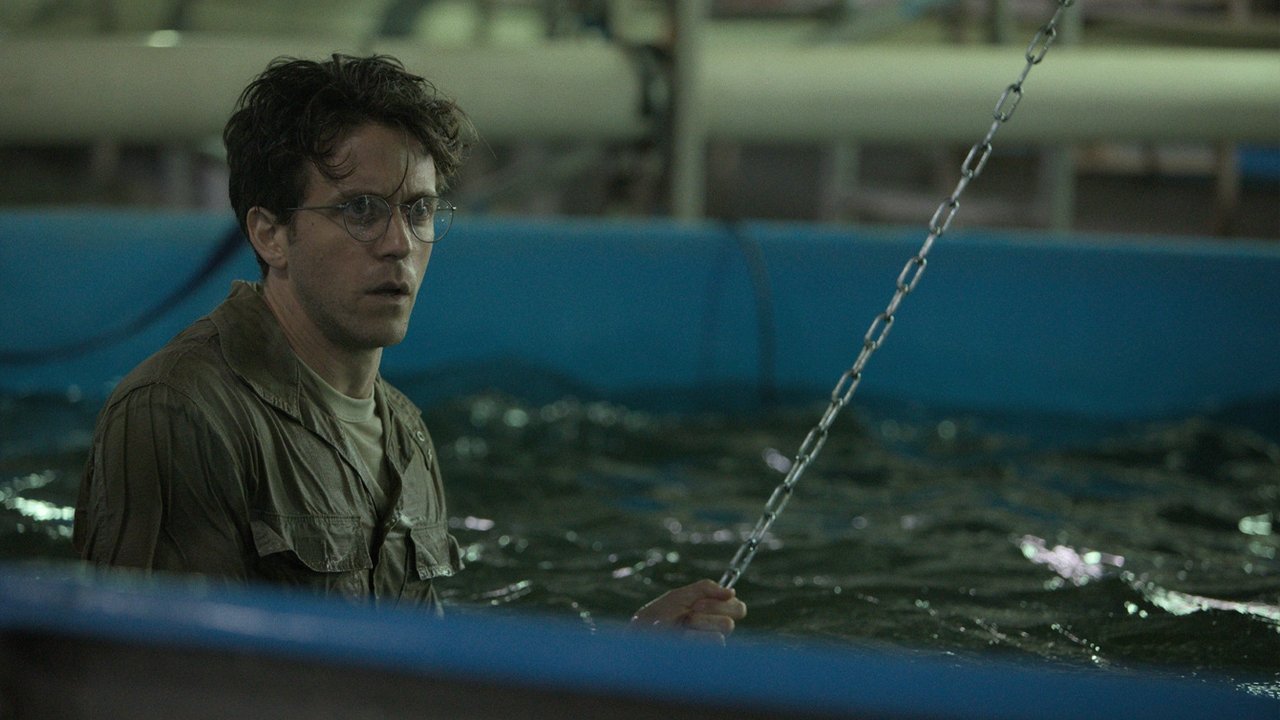 In Vitro
