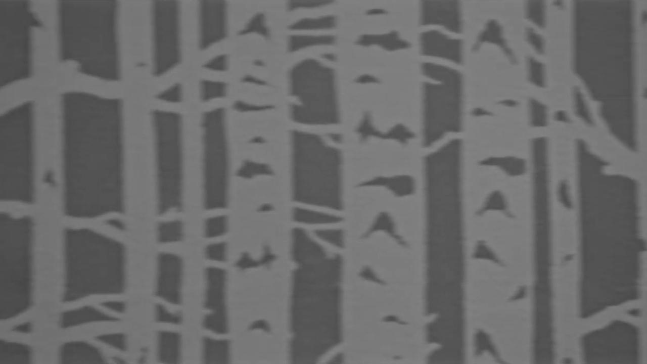 movie backdrop