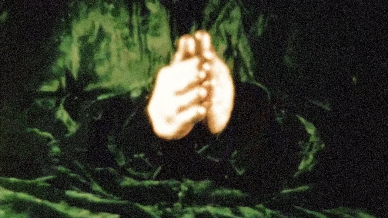 movie backdrop