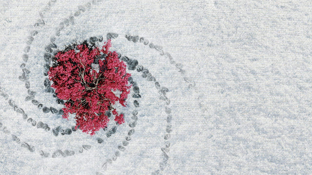 Game of Thrones - Season 2