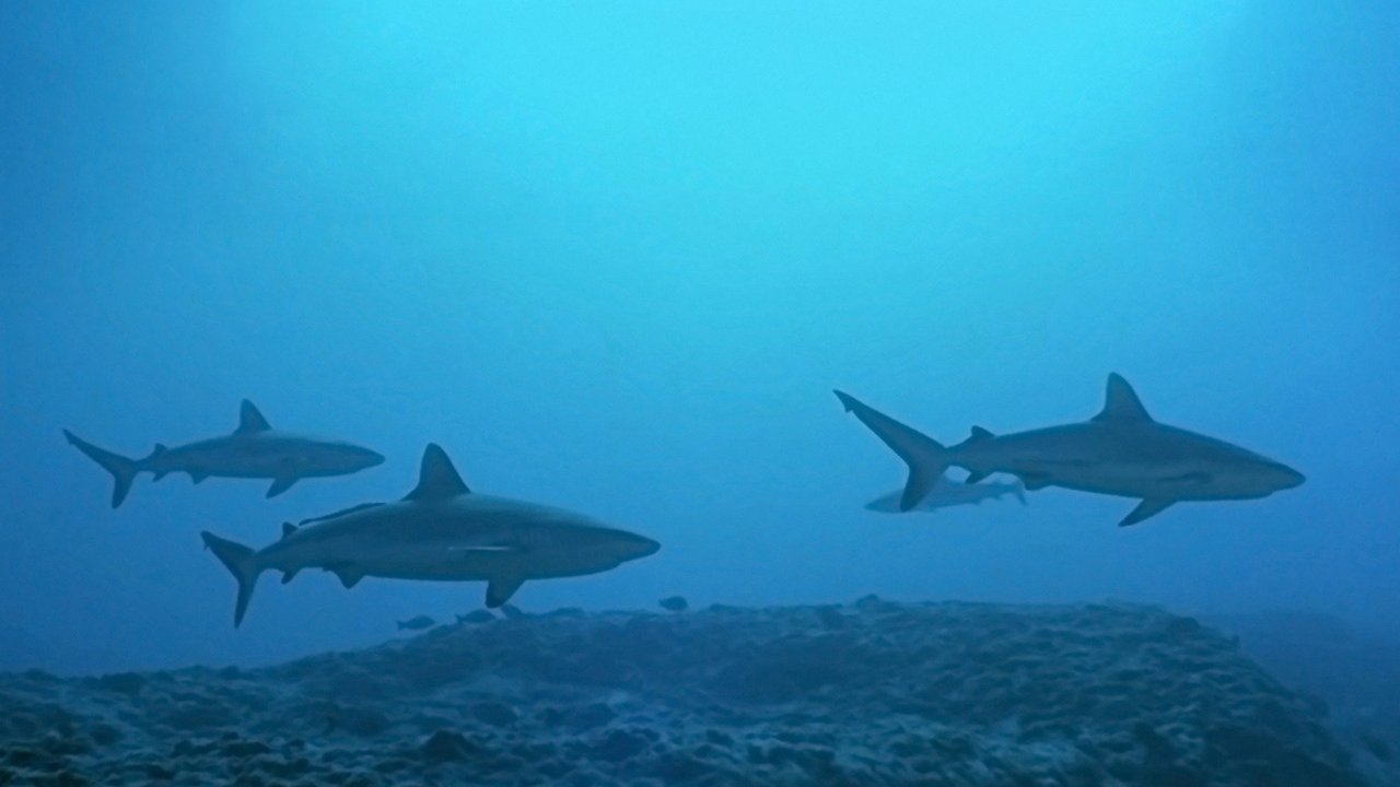 movie backdrop
