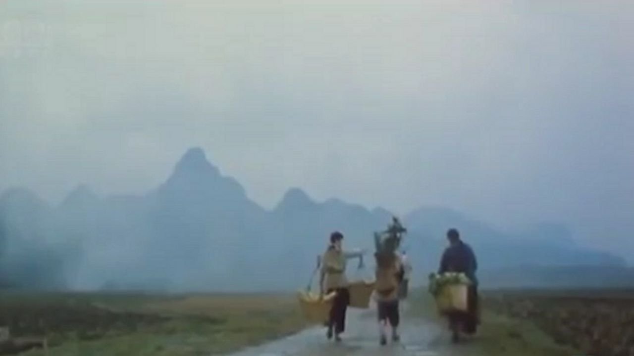 movie backdrop