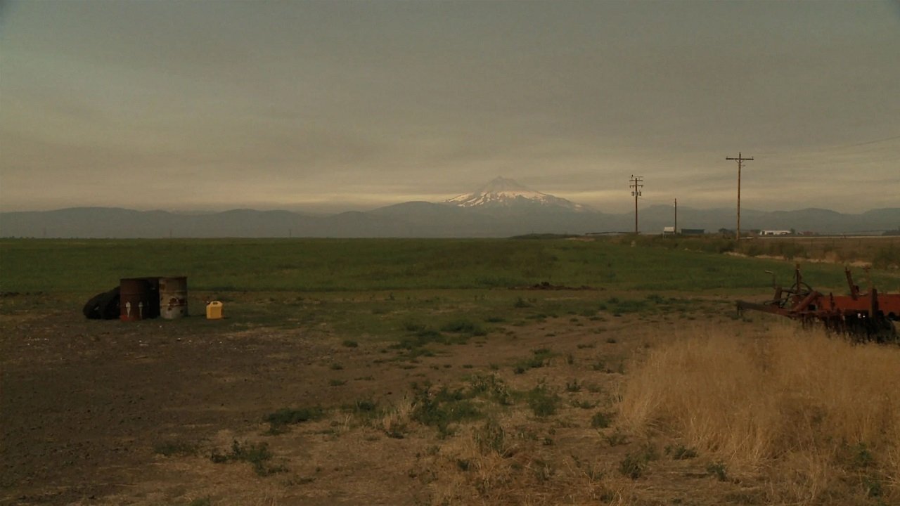 movie backdrop