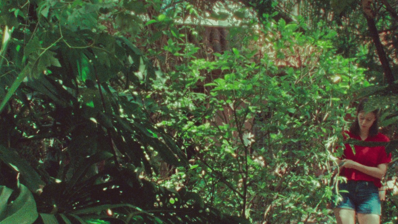 movie backdrop