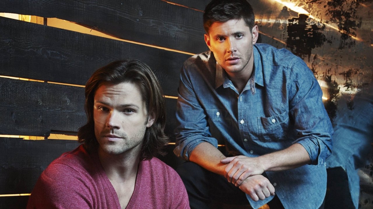 Supernatural - Season 2 Episode 7 : The Usual Suspects