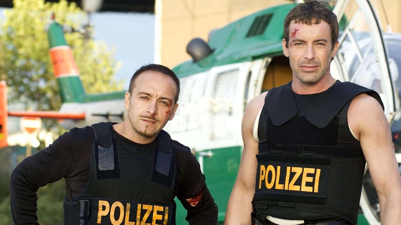 Alarm for Cobra 11: The Motorway Police Season 27 Episode 6 : Codename Tiger