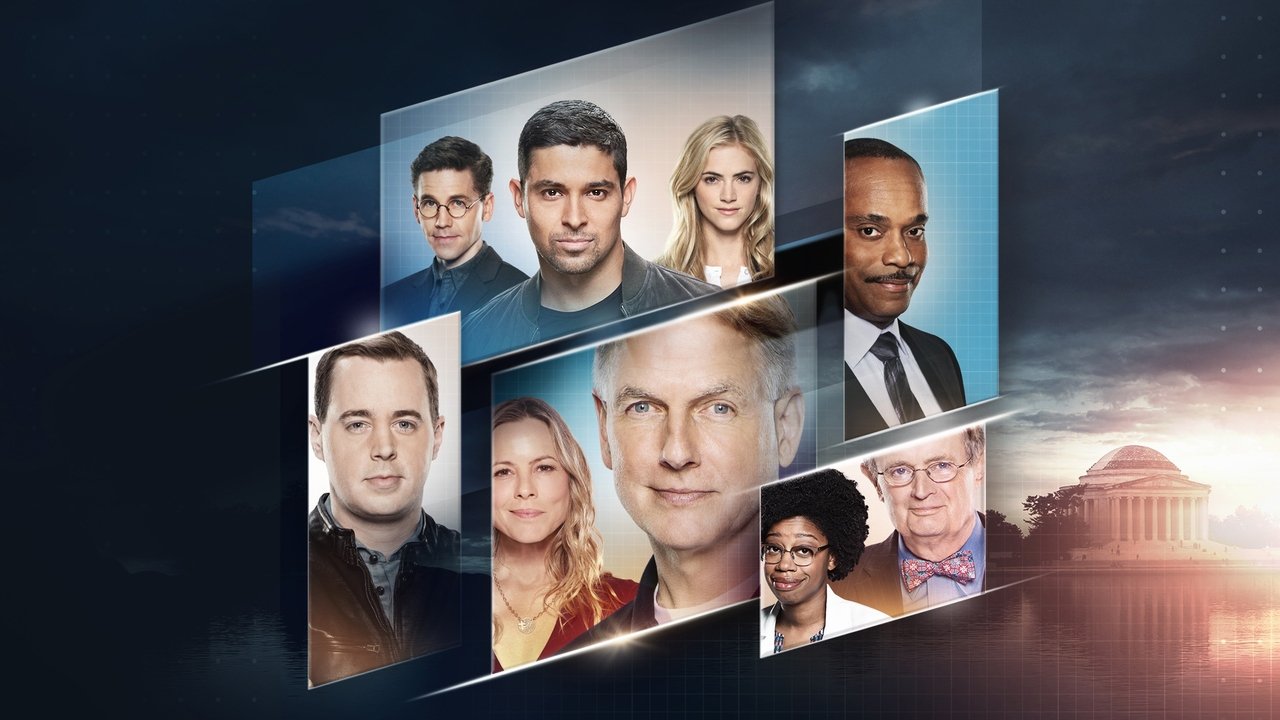 NCIS - Season 10 Episode 13 : Hit and Run