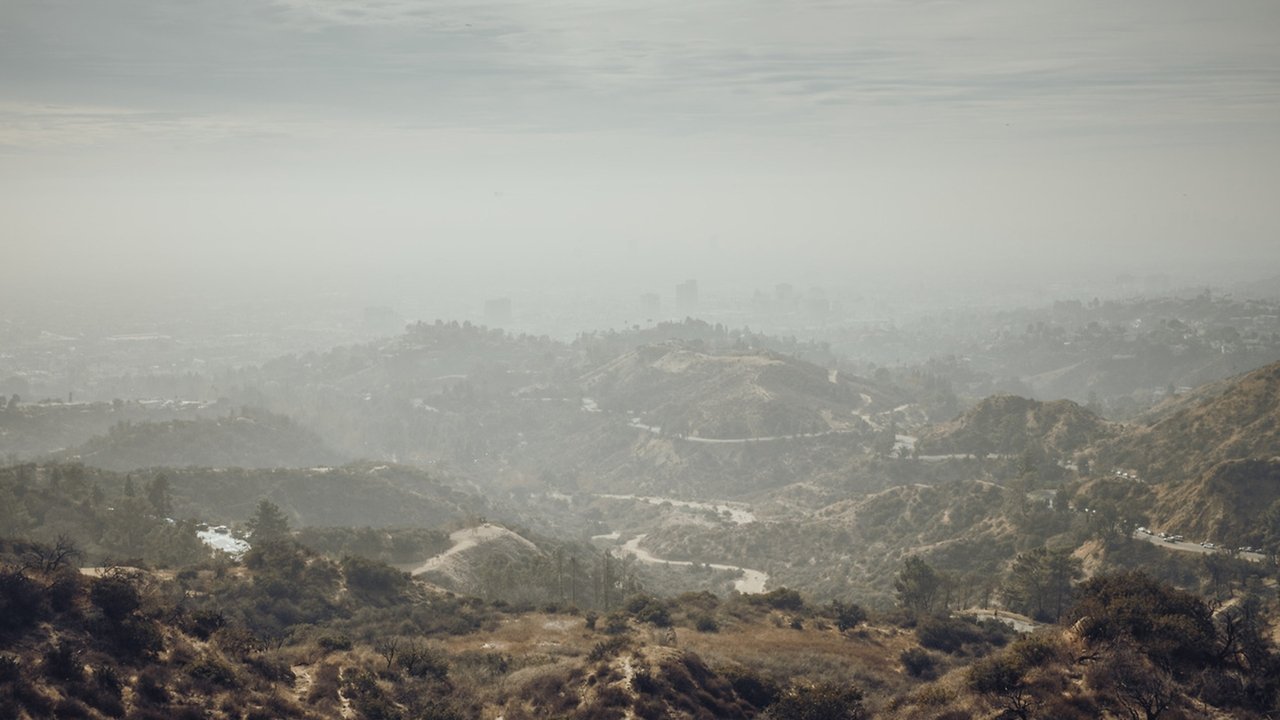 movie backdrop