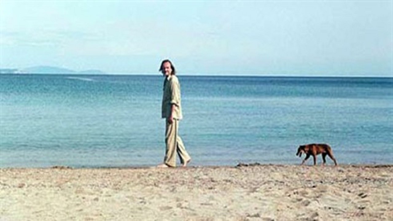 movie backdrop