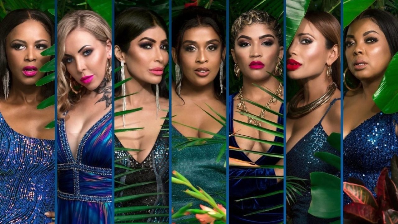 The Real Housewives of Durban Season 4