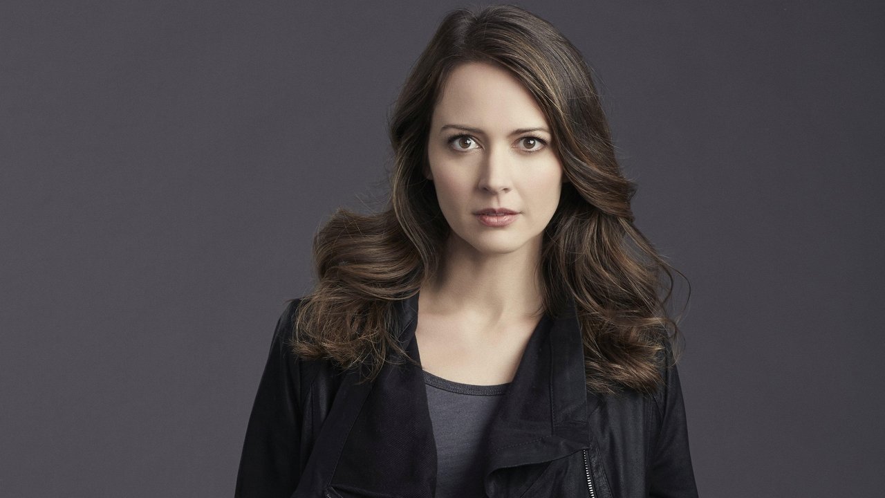 Person of Interest - Season 5 Episode 5 : ShotSeeker