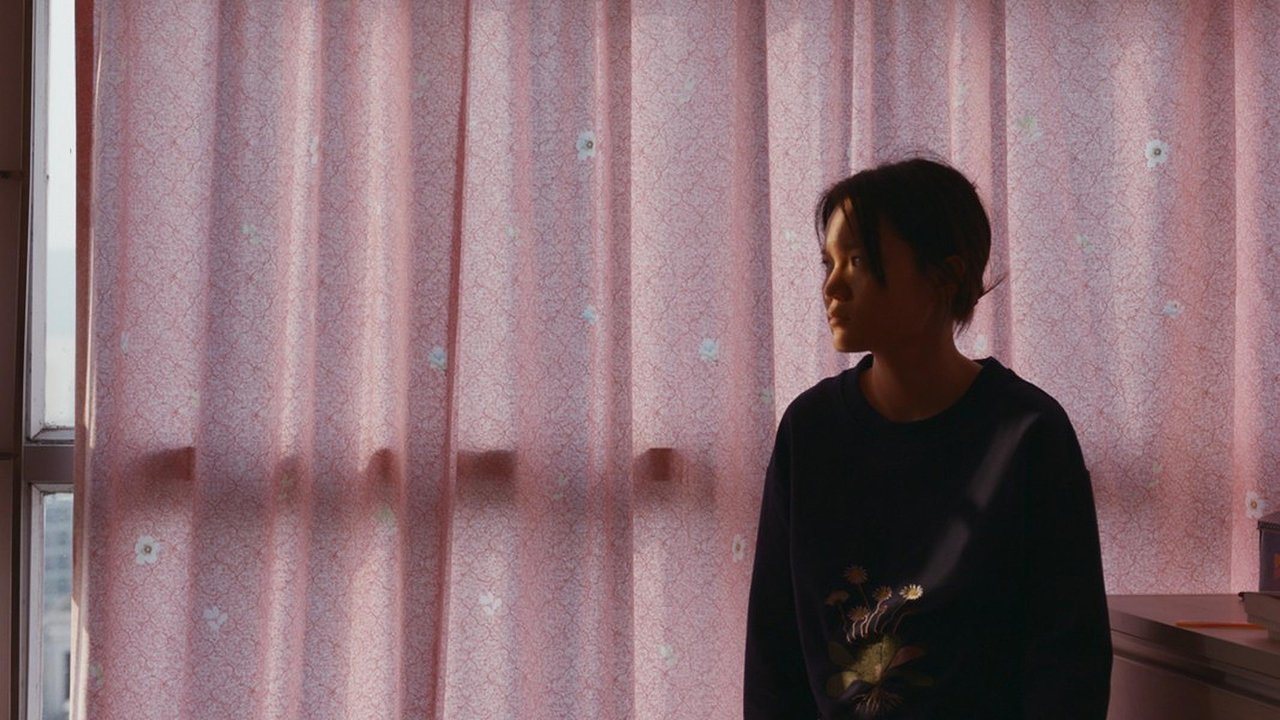 movie backdrop