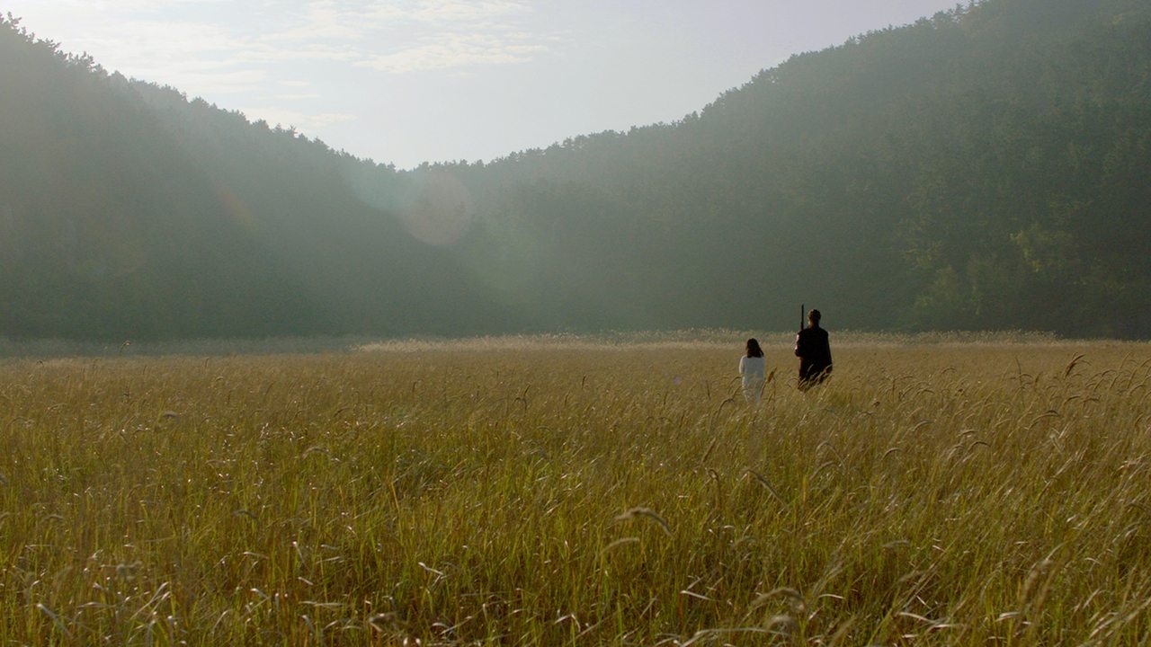 movie backdrop
