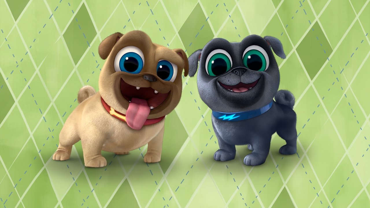 Puppy Dog Pals Season 3 Episode 11 : Bingo and Rolly's Playcare Picnic Party