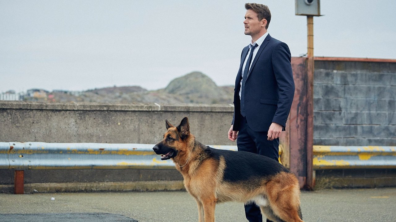Hudson & Rex Season 2 Episode 18 : Old Dog New Tricks