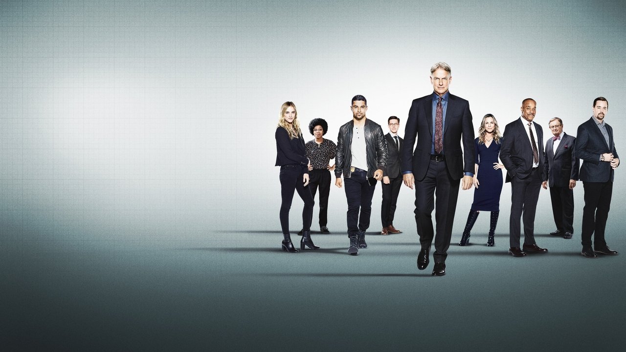 NCIS - Season 10 Episode 13 : Hit and Run