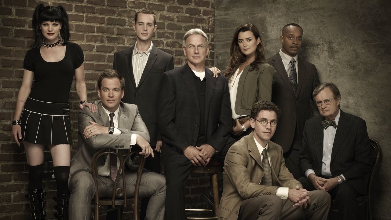 NCIS - Season 5 Episode 8 : Designated Target