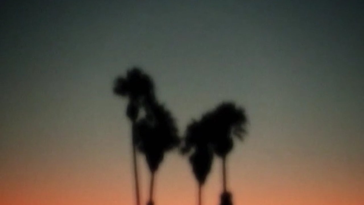movie backdrop