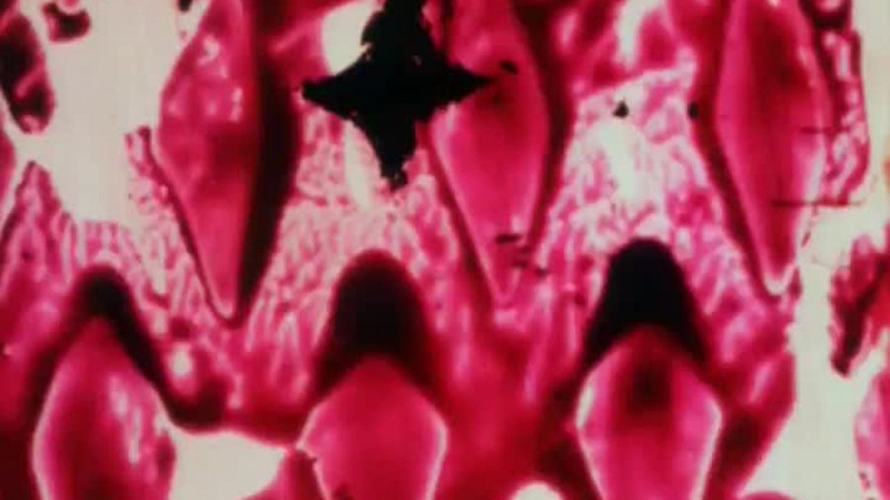 movie backdrop