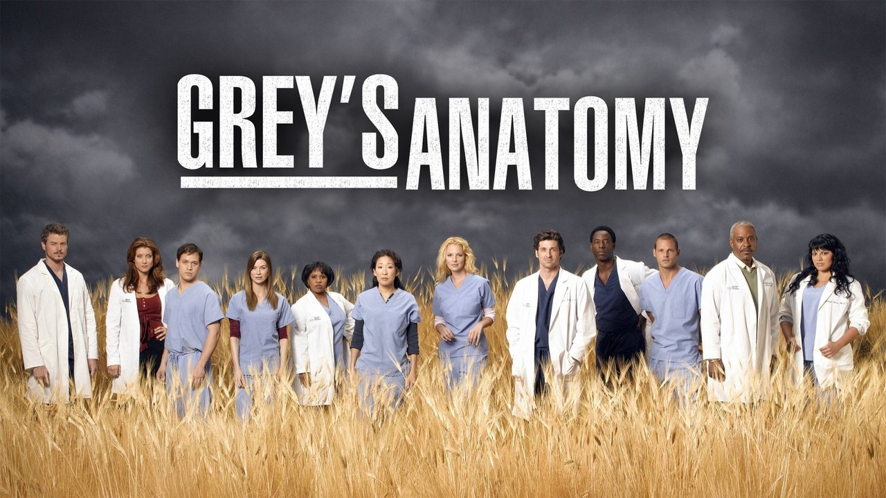 Grey's Anatomy Season 15 Episode 25 : Jump into the Fog