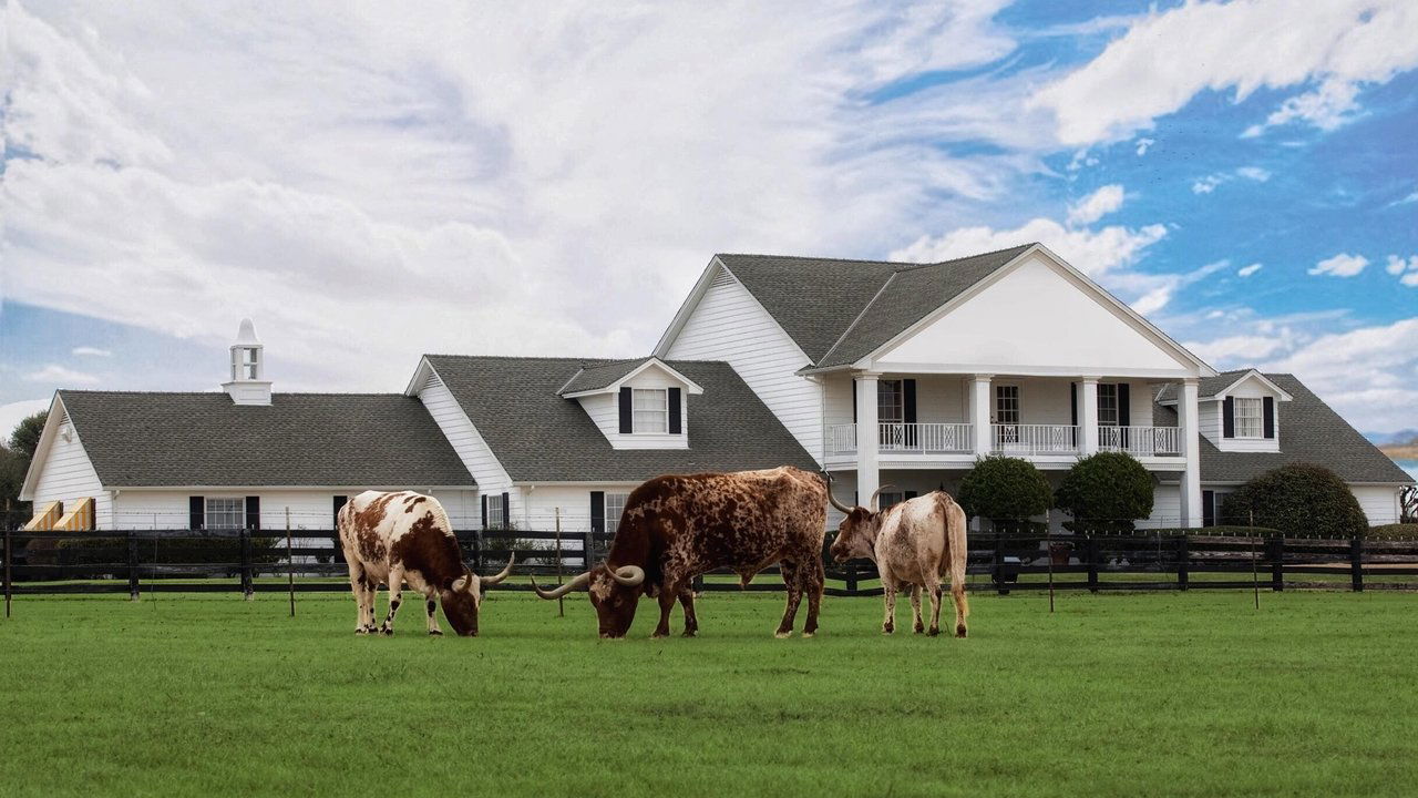 Dallas Season 1 Episode 1 : Digger's Daughter